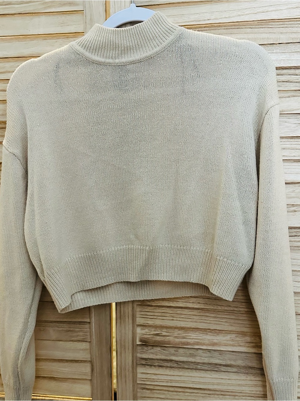 H&M Cream Cropped Turtleneck Sweater
